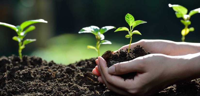 Cambio climático: ¿Cómo informar responsablemente?