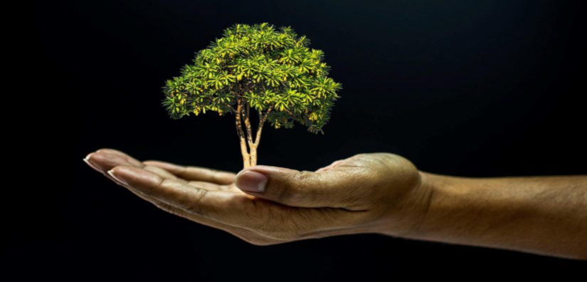 ¿Cambio climático o vulnerabilidad climática? ¿Y?